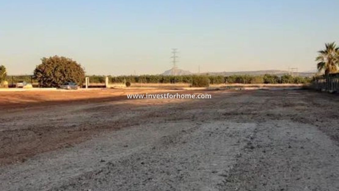 Vente - Villa - San Miguel de Salinas - Inland