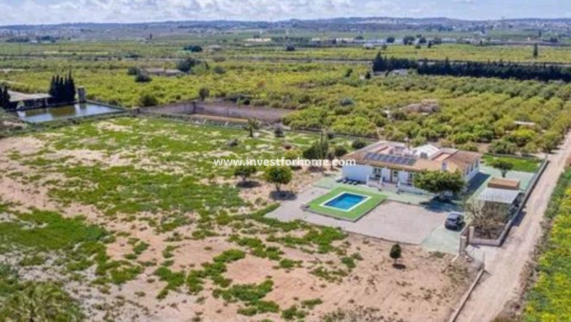Vente - Villa - San Miguel de Salinas - Inland
