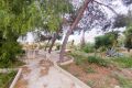 Vente - Villa - San Miguel de Salinas - Inland