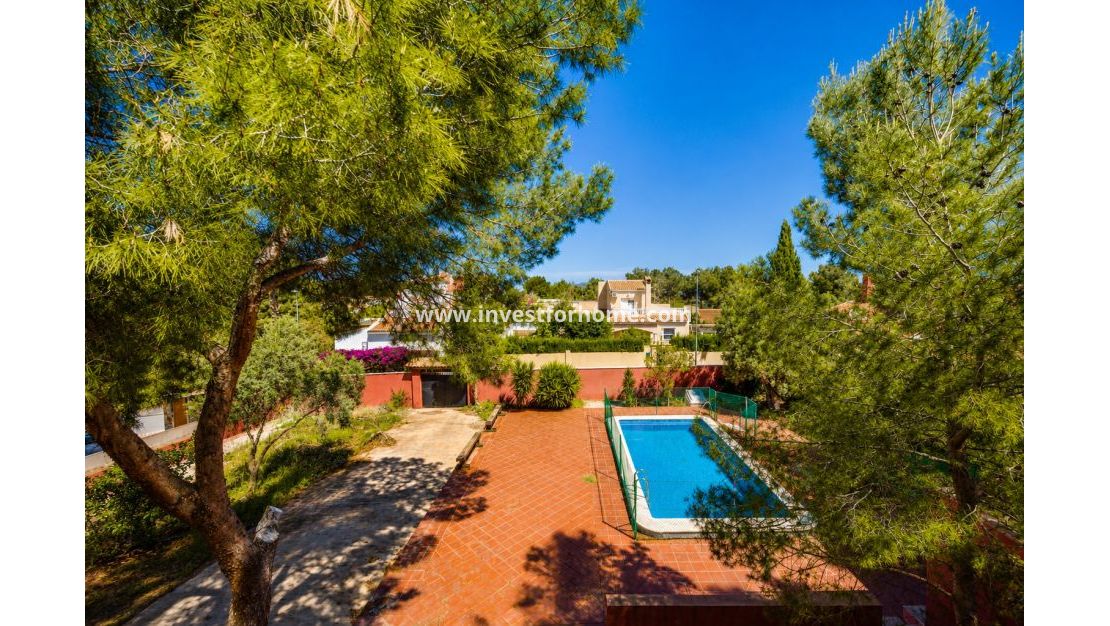 Vente - Villa - San Miguel de Salinas - Inland