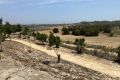 Vente - Villa - San Miguel de Salinas - Inland