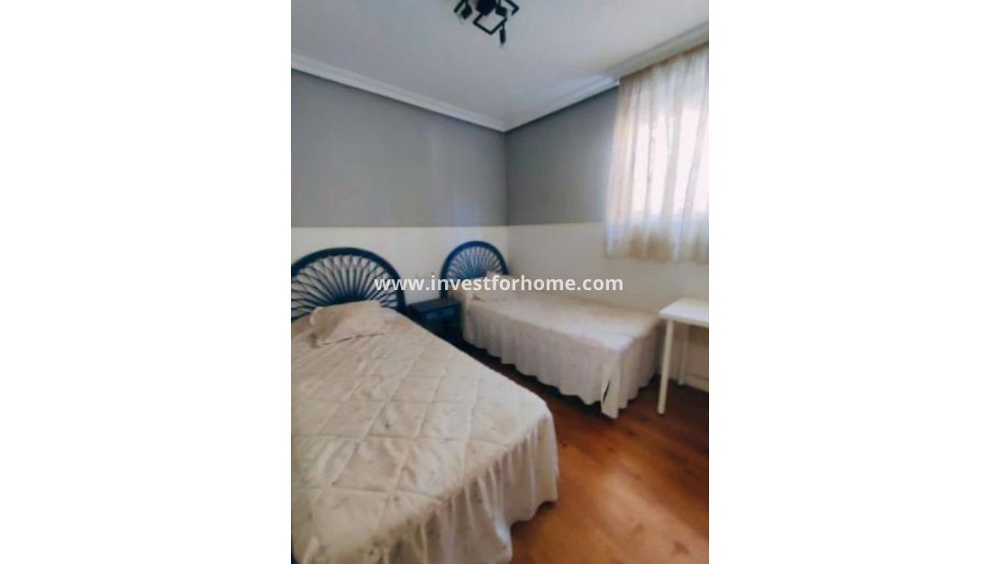 Vente - Villa - Torrevieja - aguas nuevas