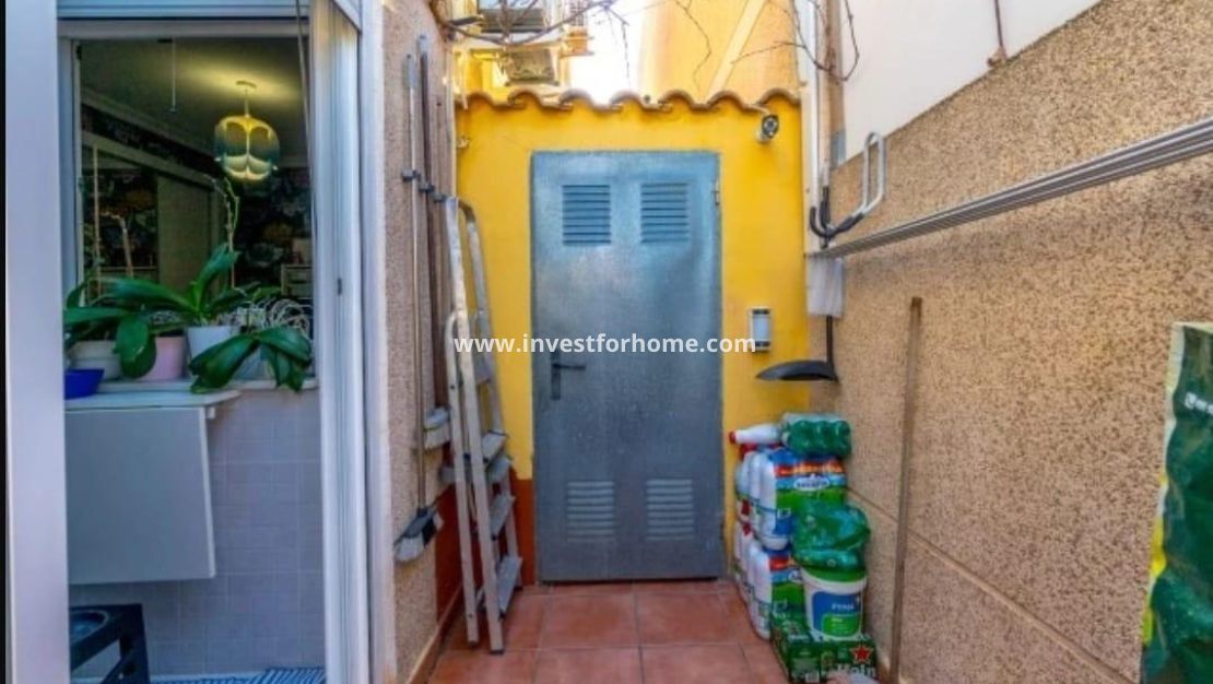 Vente - Villa - Torrevieja - aguas nuevas