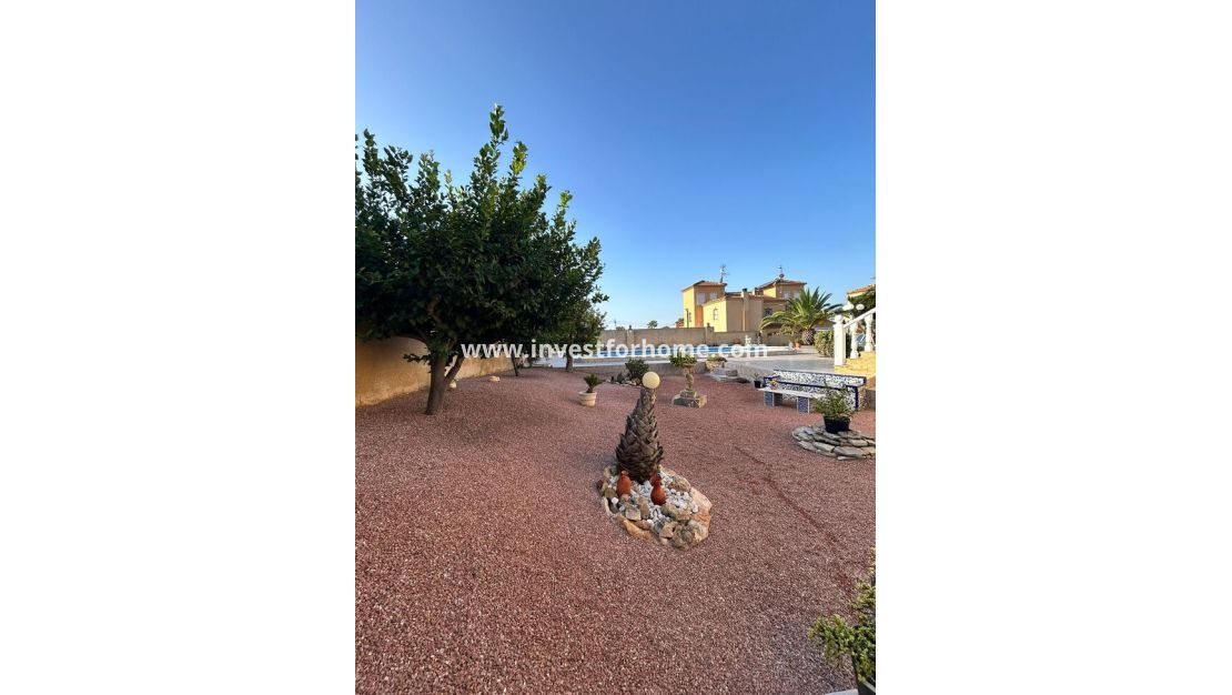 Vente - Villa - Torrevieja - aguas nuevas