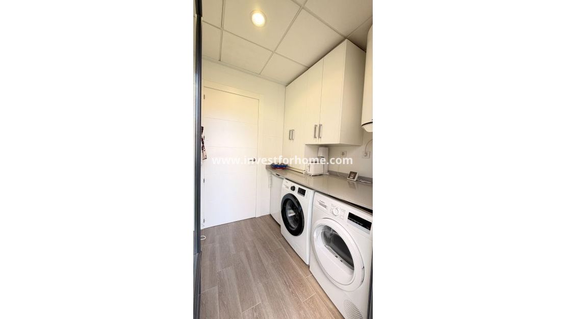 Vente - Villa - Torrevieja - aguas nuevas