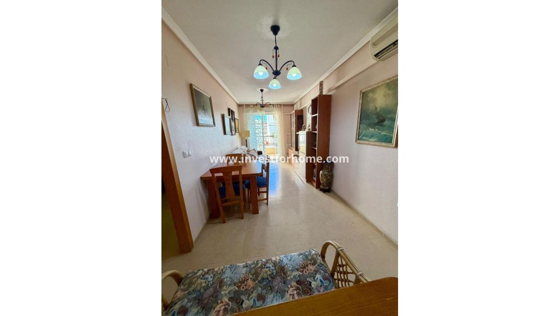 Vente - Villa - Torrevieja - Centro