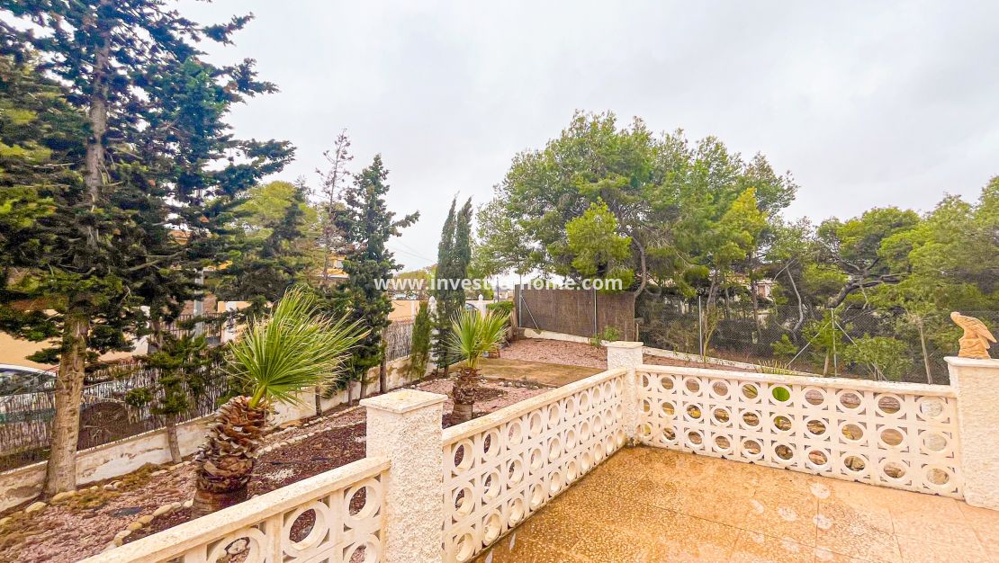 Vente - Villa - Torrevieja - Costa Blanca