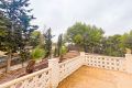 Vente - Villa - Torrevieja - Costa Blanca