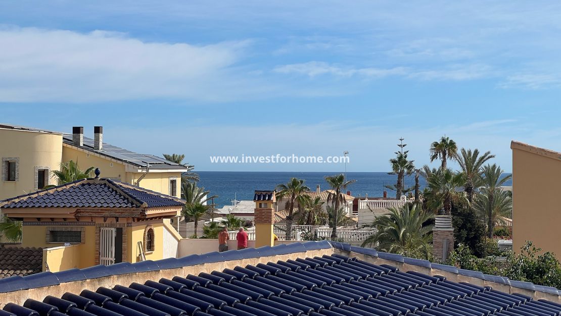 Vente - Villa - Torrevieja - Costa Blanca