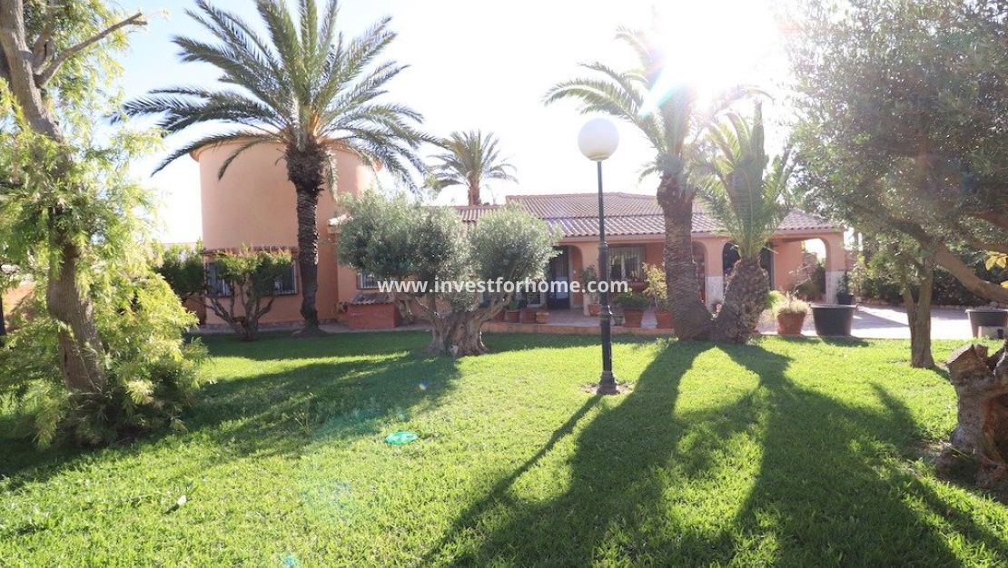 Vente - Villa - Torrevieja - Costa Blanca