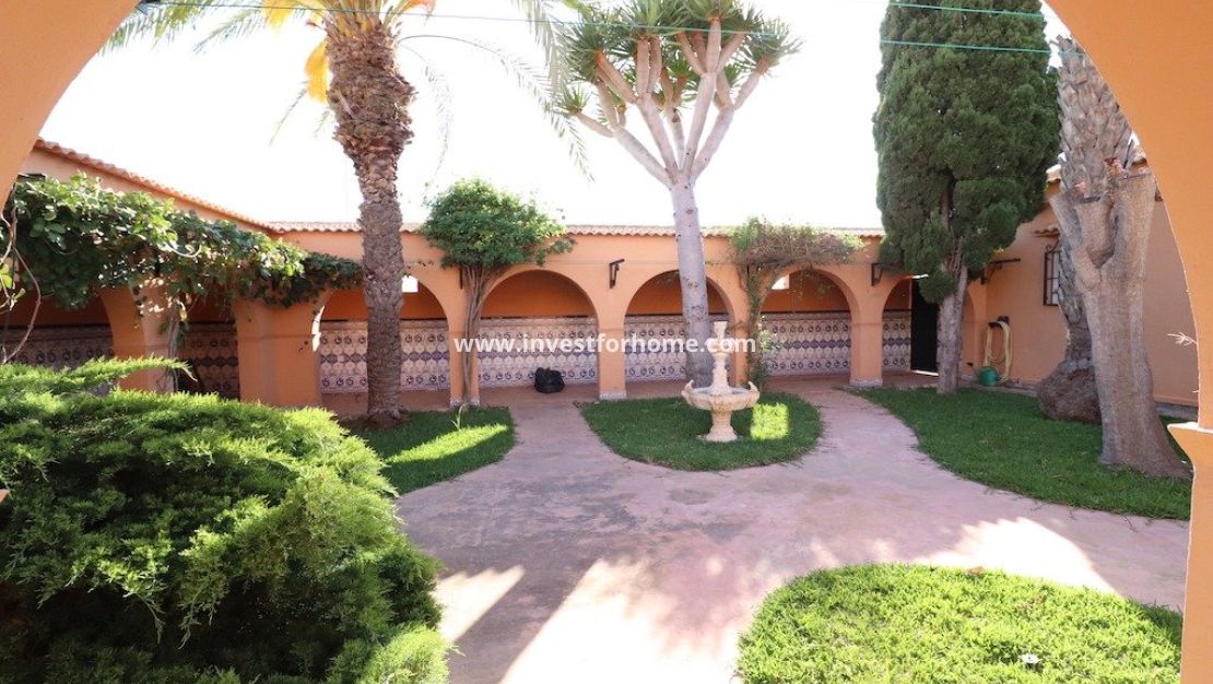 Vente - Villa - Torrevieja - Costa Blanca