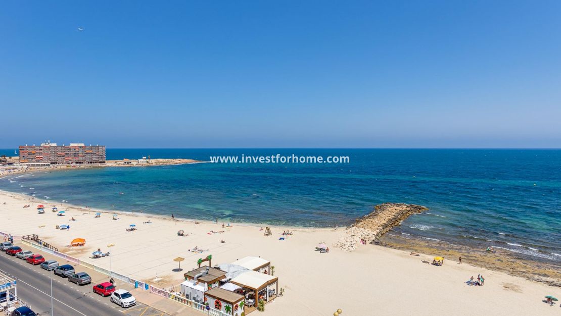 Vente - Villa - Torrevieja - Costa Blanca