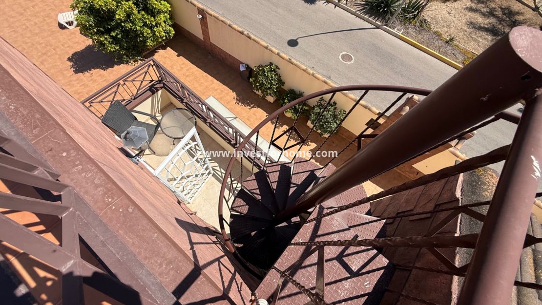 Vente - Villa - Torrevieja - Costa Blanca