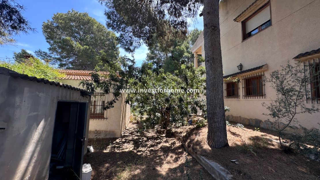 Vente - Villa - Torrevieja - Costa Blanca