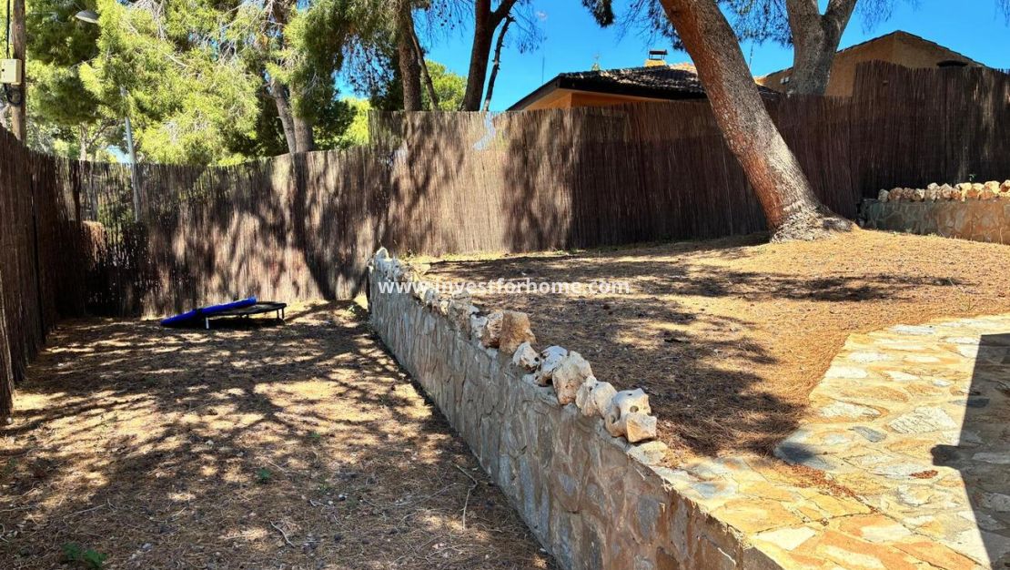 Vente - Villa - Torrevieja - Costa Blanca