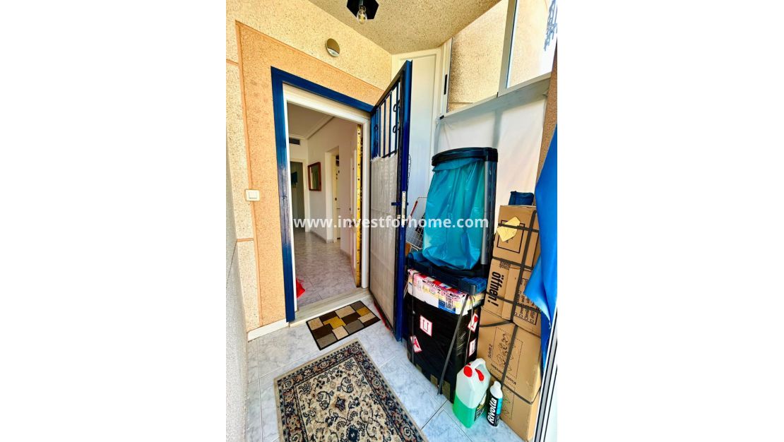 Vente - Villa - Torrevieja - Costa Blanca