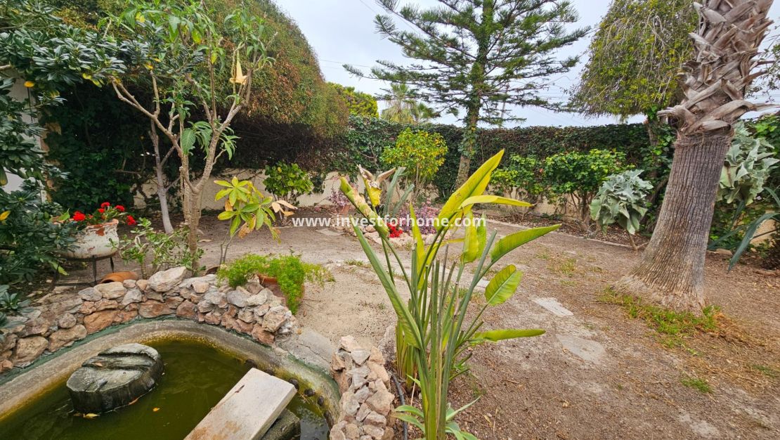 Vente - Villa - Torrevieja - El Chaparral