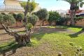 Vente - Villa - Torrevieja - La Siesta-El Chaparral