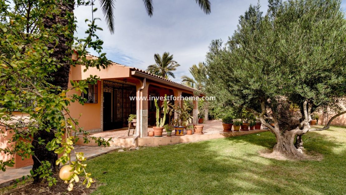 Vente - Villa - Torrevieja - La Siesta-El Chaparral