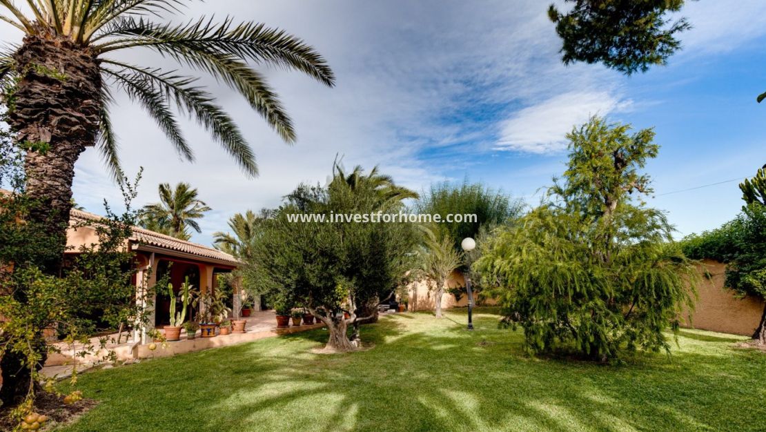 Vente - Villa - Torrevieja - La Siesta-El Chaparral