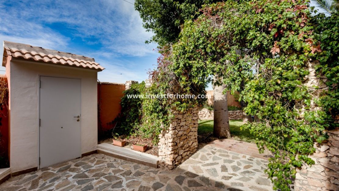 Vente - Villa - Torrevieja - La Siesta-El Chaparral