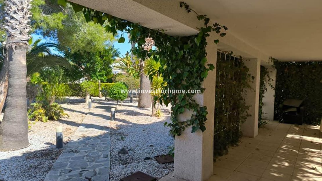 Vente - Villa - Torrevieja - La Siesta-El Chaparral