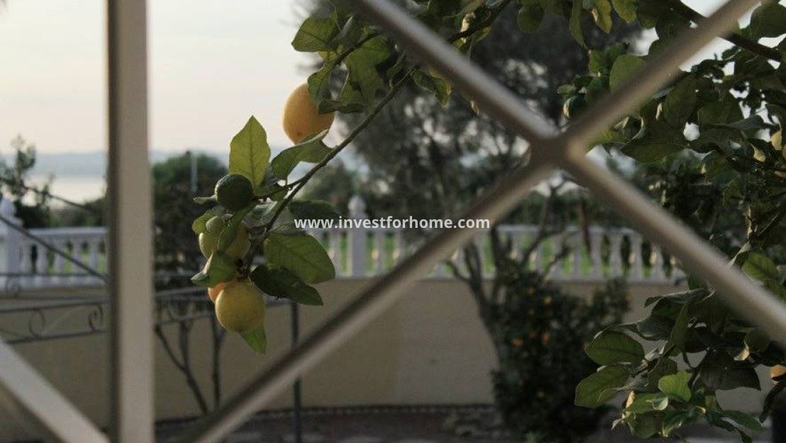 Vente - Villa - Torrevieja - La Siesta - El Salado - Torreta