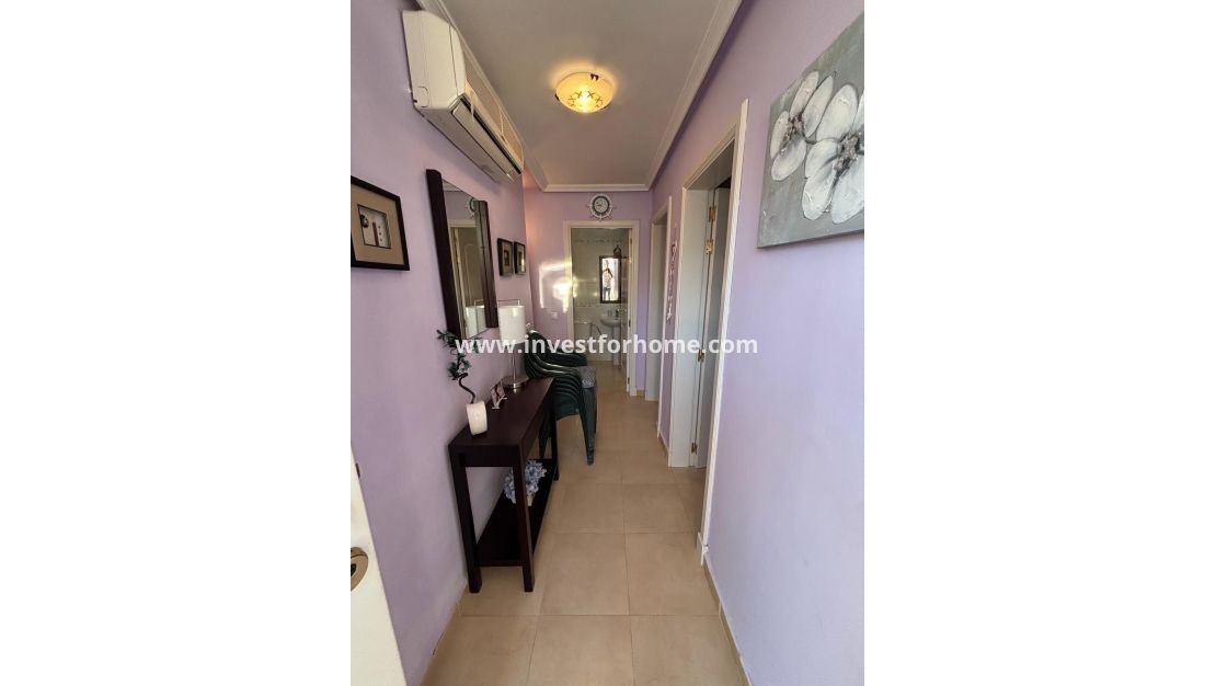 Vente - Villa - Torrevieja - La Siesta - El Salado - Torreta