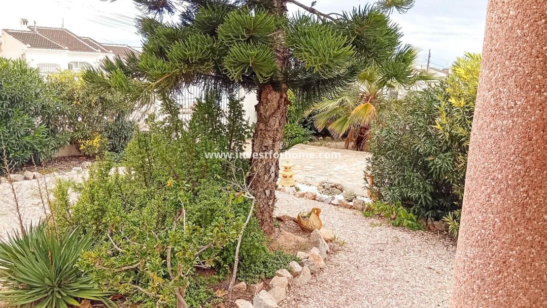 Vente - Villa - Torrevieja - La Siesta - El Salado - Torreta