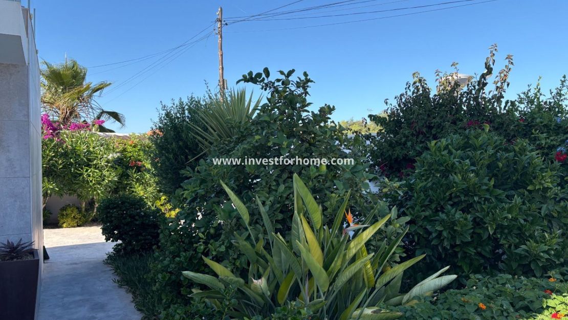 Vente - Villa - Torrevieja - La Siesta - El Salado - Torreta