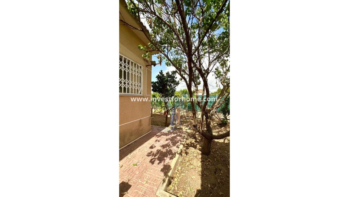 Vente - Villa - Torrevieja - Los Balcones - Los Altos Del Edén