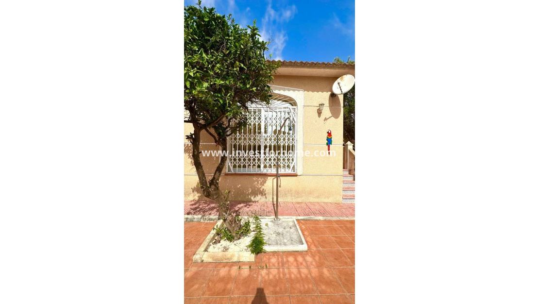 Vente - Villa - Torrevieja - Los Balcones - Los Altos Del Edén