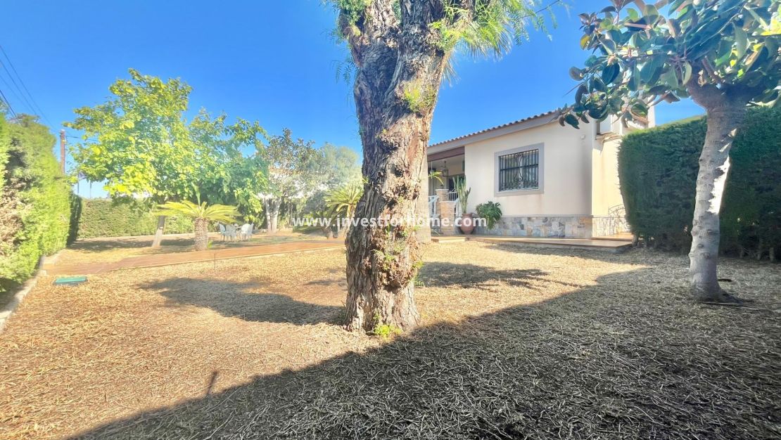 Vente - Villa - Torrevieja - Los Balcones - Los Altos Del Edén