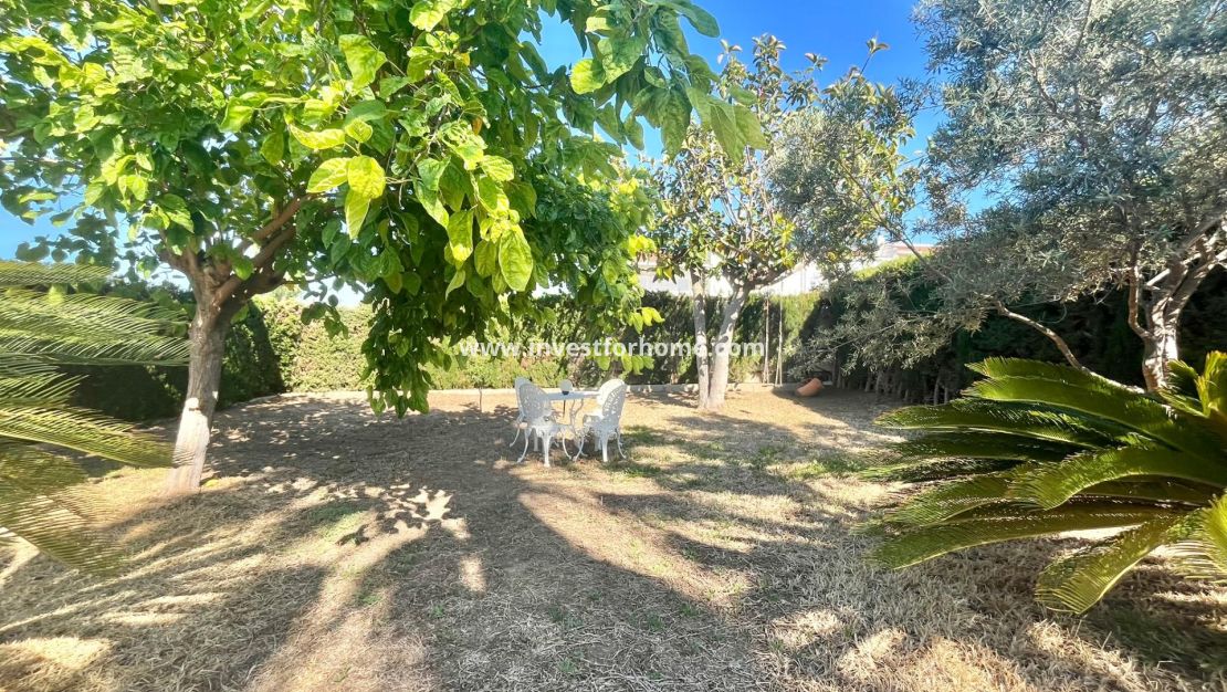 Vente - Villa - Torrevieja - Los Balcones - Los Altos Del Edén