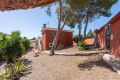 Vente - Villa - Torrevieja - Los Balcones - Los Altos Del Edén