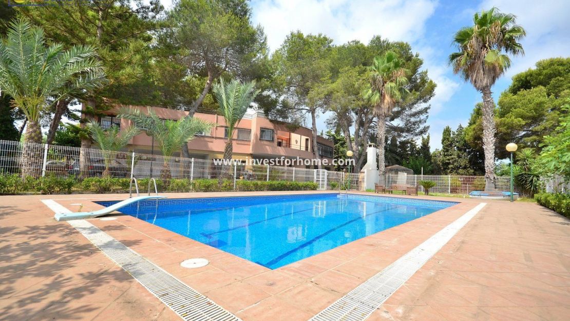 Vente - Villa - Torrevieja - Los Balcones