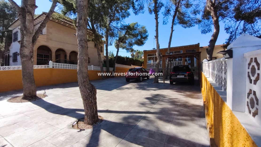 Vente - Villa - Torrevieja - Los Balcones