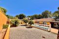 Vente - Villa - Torrevieja - Los Balcones