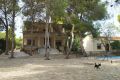 Vente - Villa - Torrevieja - Los Balcones