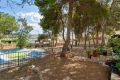 Vente - Villa - Torrevieja - Los Balcones