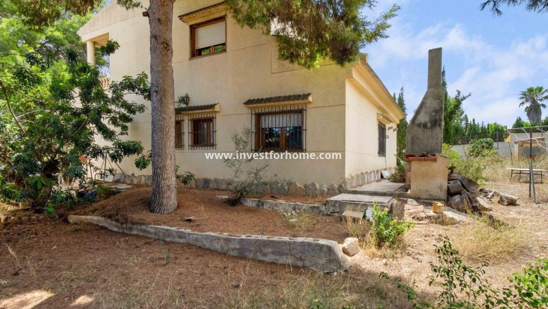 Vente - Villa - Torrevieja - Los Balcones
