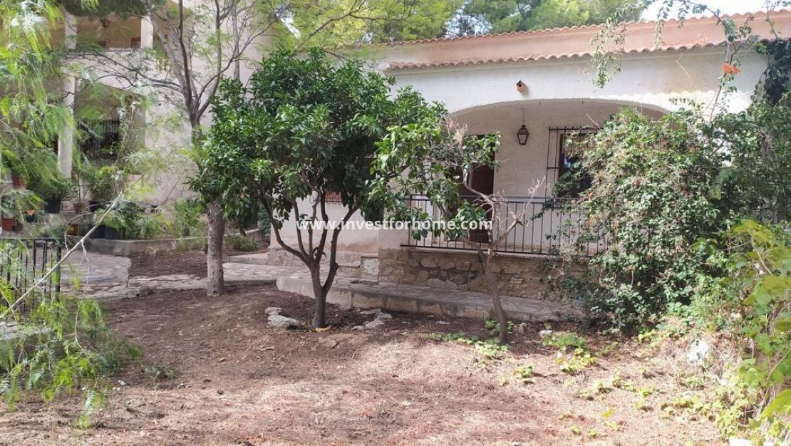 Vente - Villa - Torrevieja - Los Balcones