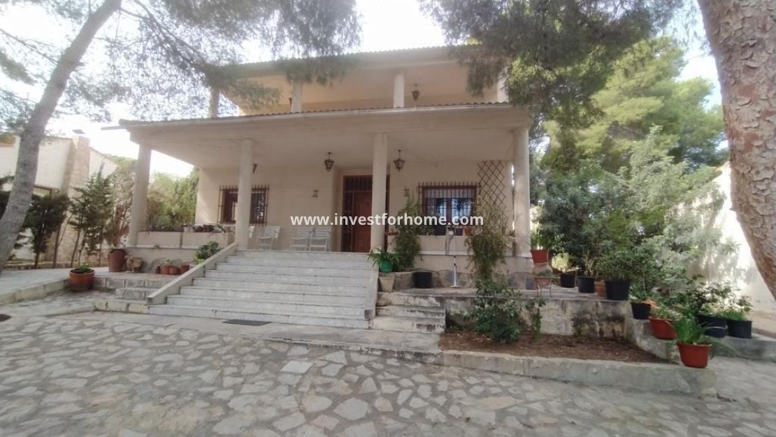 Vente - Villa - Torrevieja - Los Balcones