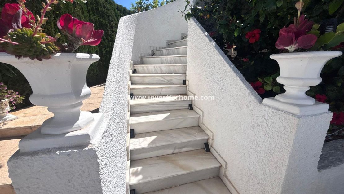 Vente - Villa - Torrevieja - Los Balcones