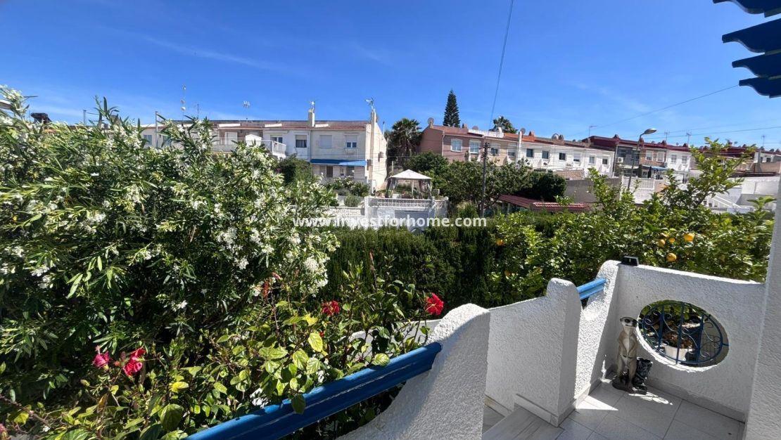 Vente - Villa - Torrevieja - Los Balcones