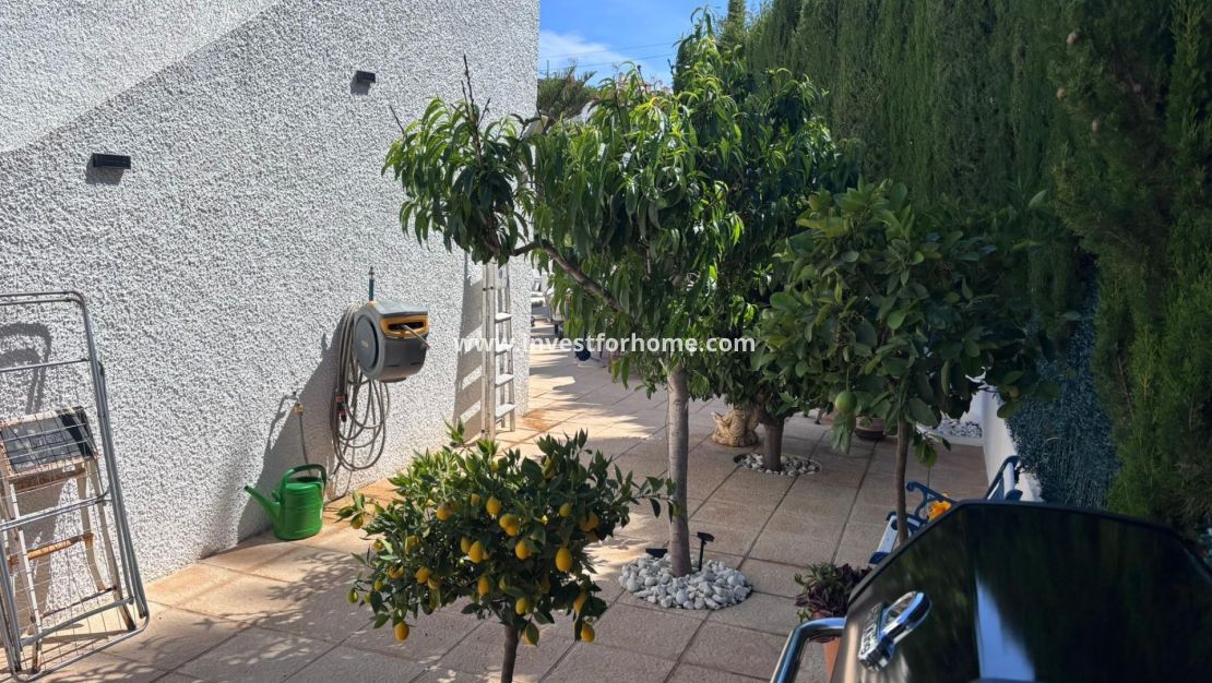 Vente - Villa - Torrevieja - Los Balcones