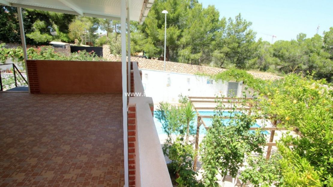 Vente - Villa - Torrevieja - Los Balcones