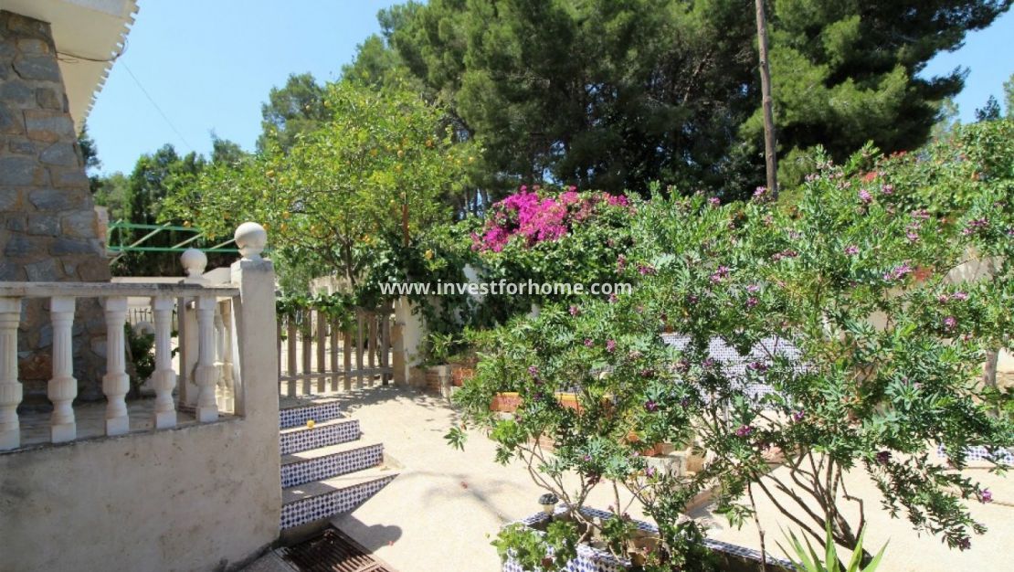 Vente - Villa - Torrevieja - Los Balcones