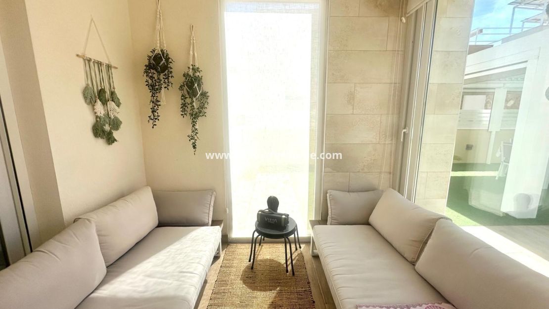 Vente - Villa - Torrevieja - Miramar - Torre Del Moro