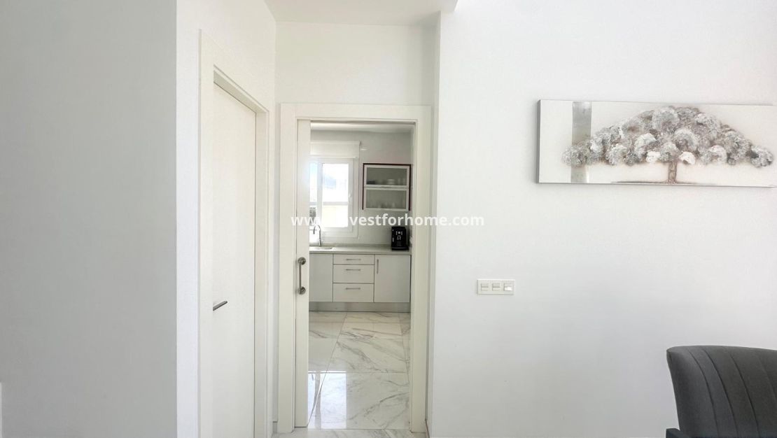 Vente - Villa - Torrevieja - Miramar - Torre Del Moro